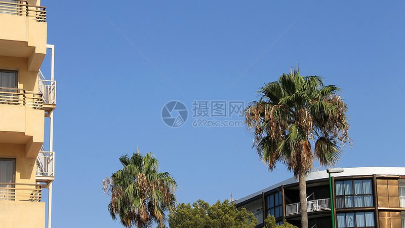 高空拓展训练设备：揭秘四川厂家的核心优势